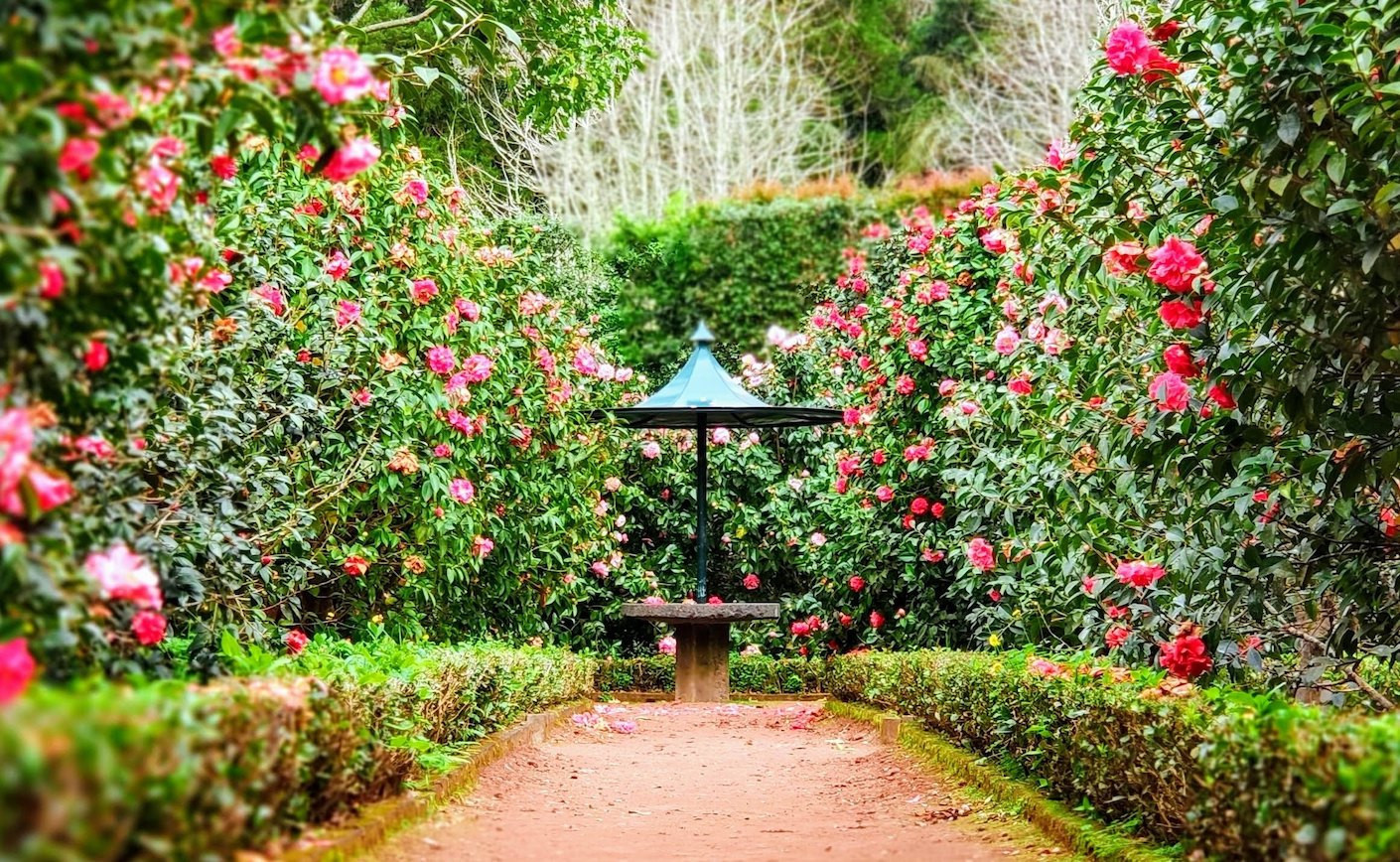 Habilidades Clave de los Jardineros en España