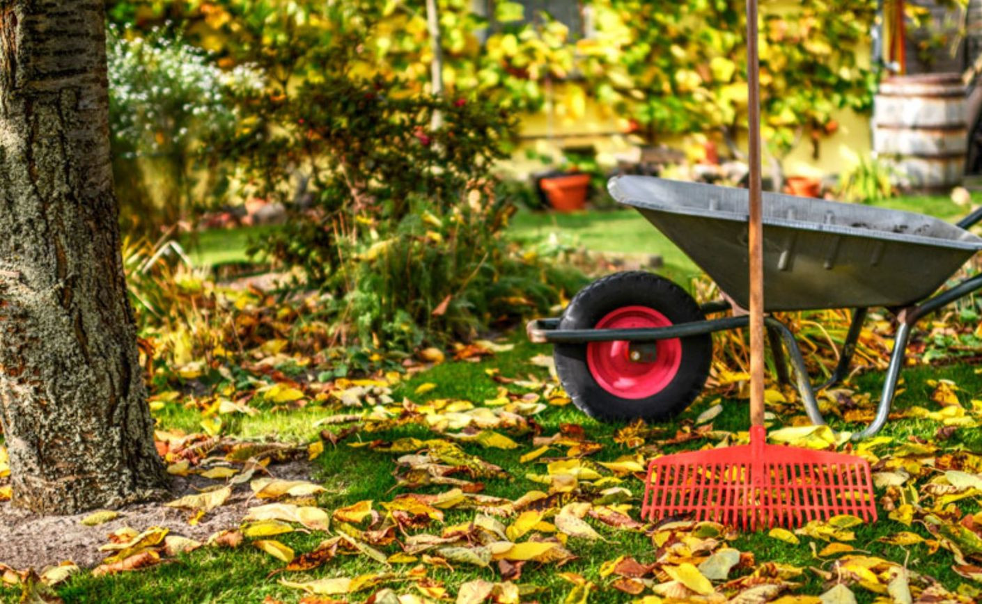 Calendario de Jardinería para el Otoño